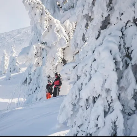 Vvf Les Monts Jura База отдыха 2*