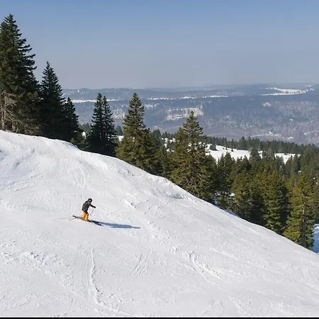 Vvf Les Monts Jura Holiday park Lelex