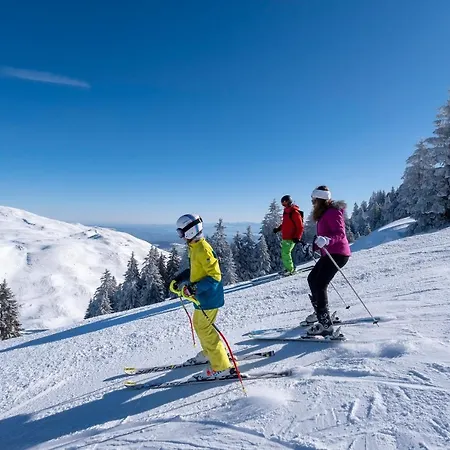 База отдыха Vvf Les Monts Jura Лелекс
