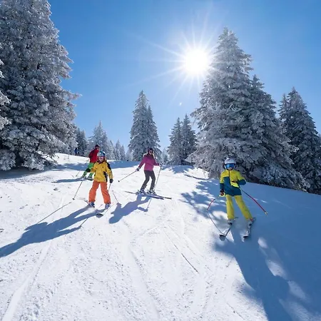 Vvf Les Monts Jura База отдыха 2*